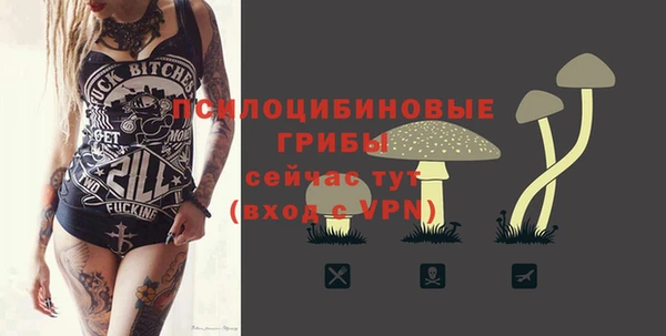 ALPHA-PVP Алексин