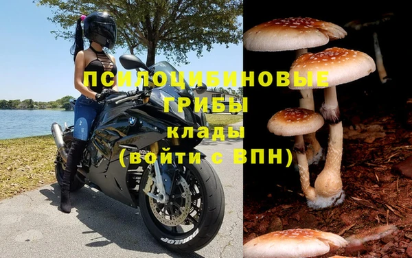 ALPHA-PVP Алексин