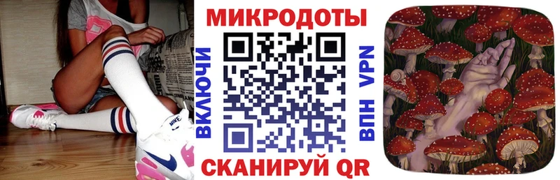 Псилоцибиновые грибы Psilocybe  дарнет шоп  Мамоново 